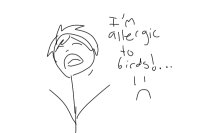 I'm allergic to birds!… :c