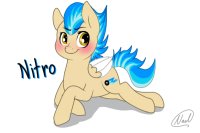 Pony Adoptable - Nitro