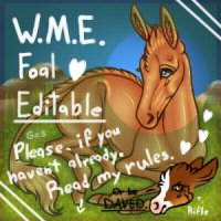 W.M.E. Foal Editable <3