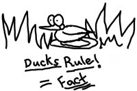 Yea thats right im a duck