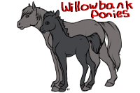 Willowbank Ponies closed (V2 IS OPEN)