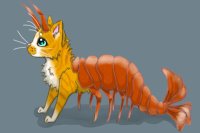Shrimp Cat Entry 2 ~Ginger and White Tabby~