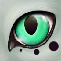 Cat eye icon fan