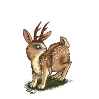 ♥ LIITLE FAWN JACKY ♥ for Jamie. ♥