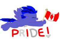 Olympics Pride
