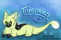 Tidepoles - WIP