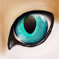 Secretstar's Eye