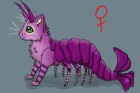 Shrimp Cat #25