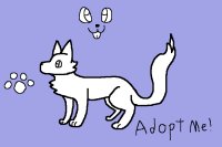 Mystic Wolf Adopts Open