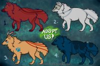 Wolf adoptables