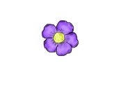 Purple Flower?