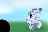 Cuniculus Fluff #3 - For adoption