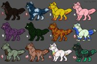 Canine Adoptables!