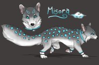 Misora -my first pip