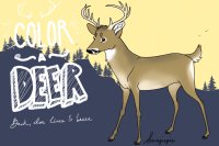 Color a Deer!