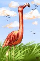 An Experiment Involving Flamingos