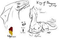 King of dragons, concept