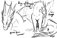 King of dragons, concept #2