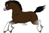New Horse Charrie c: