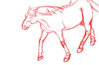 Sketch horse