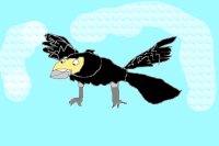 black Eagle