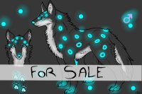 ~Character&Ref For Sale~