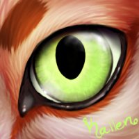 Kallen's Eye