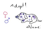 Adopt the cute purple and blue dog!