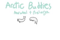 Arctic Buddies: Narwhal + Beluga