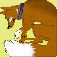 Fox/Wolf/Dog