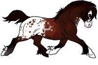 Name?? New horse character