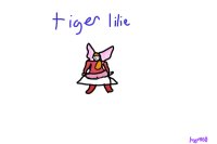 tiger lilie