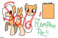 Pumpkin Pie!---For sale!