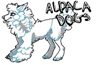 ALPACA-DOGS!!