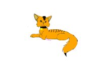 This is Tiger/Tigerclaw