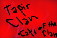 The cats of Tapir Clan