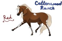 Cottonwood Wild Horse Ranch GA Entry #2
