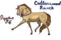 Cottonwood Wild Horse Ranch GA Entry #3
