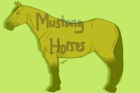 Mustang Horses