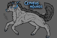Cepheus Hounds