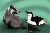 A badger, a penguin and a blackbird