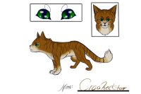 Warrior Cat: Crookedstar (#5)