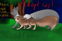 Wood foxes - Looking for archivist, and artists!