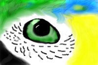 *Parrot eye*