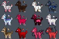offer to adopts
