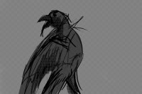 raven anthro thing