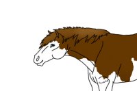 Horse #1 "Rem"