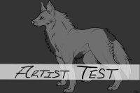 Artist Test: Detailed Instructions Inside