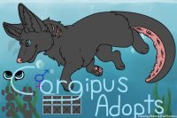 Corgipus Adopts- Updated Rule!