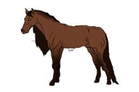 Horse line art WIP